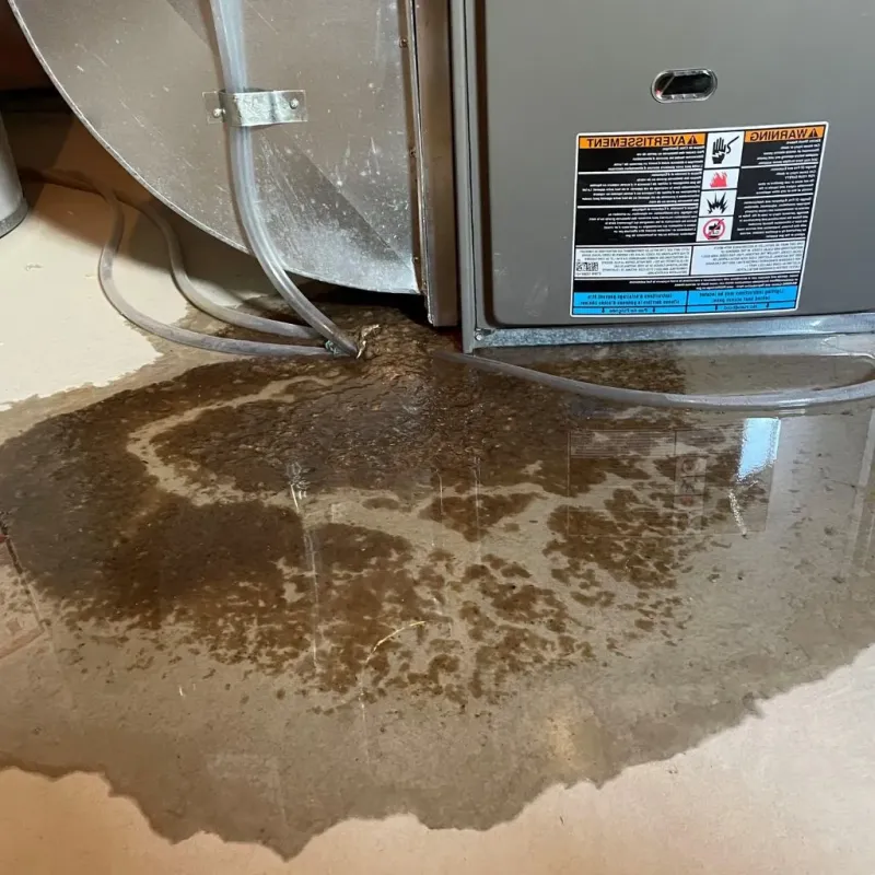 Pipe Burst and Leak Restoration in Hopkinton, RI